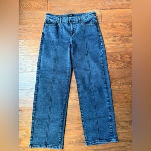 Banana Republic Straight Leg Jeans in Dark Wash Blue
